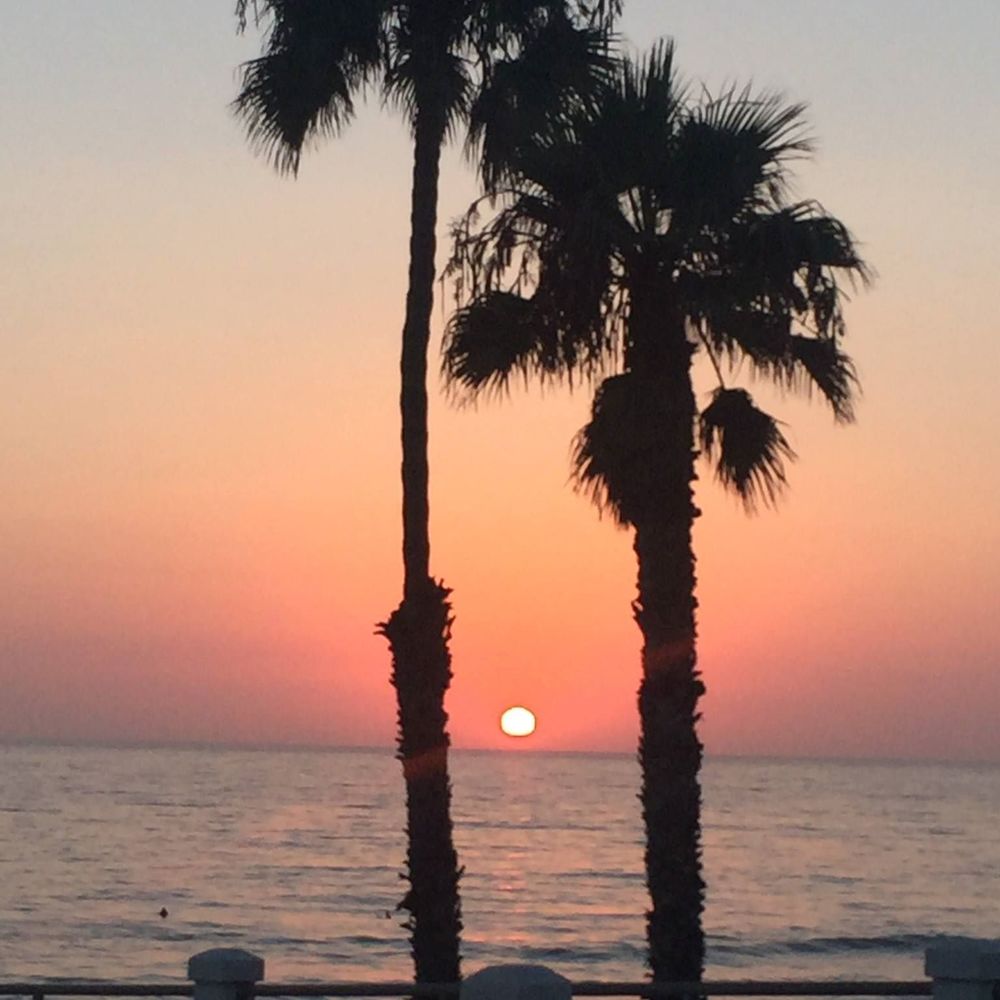 Meet your Posher, Jodie